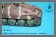 MR-48039 Idler wheels Jagdpanzer 38 Hetzer (set wit 4 different variants)