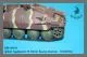 MR-48038 Rüstsatz Jagdpanzer 38 Hetzer Abschlußausführung